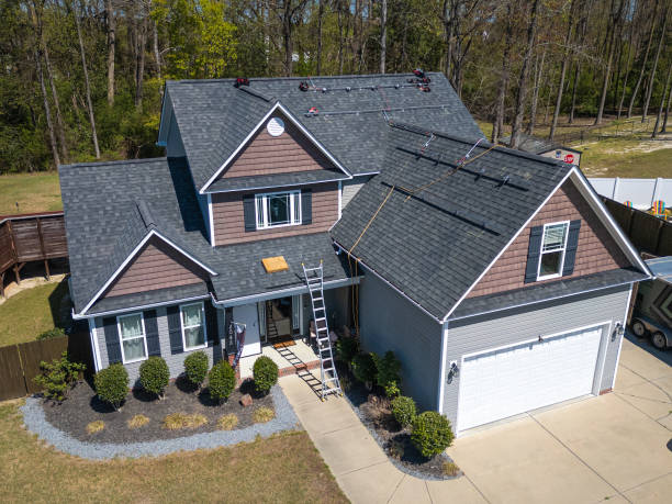 Best Roof Leak Repair  in Forestville, OH